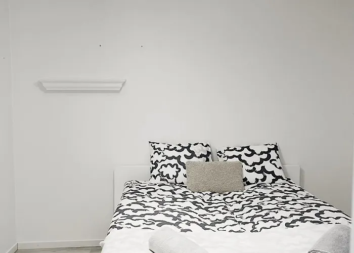 Bubachii Homie Helsinki